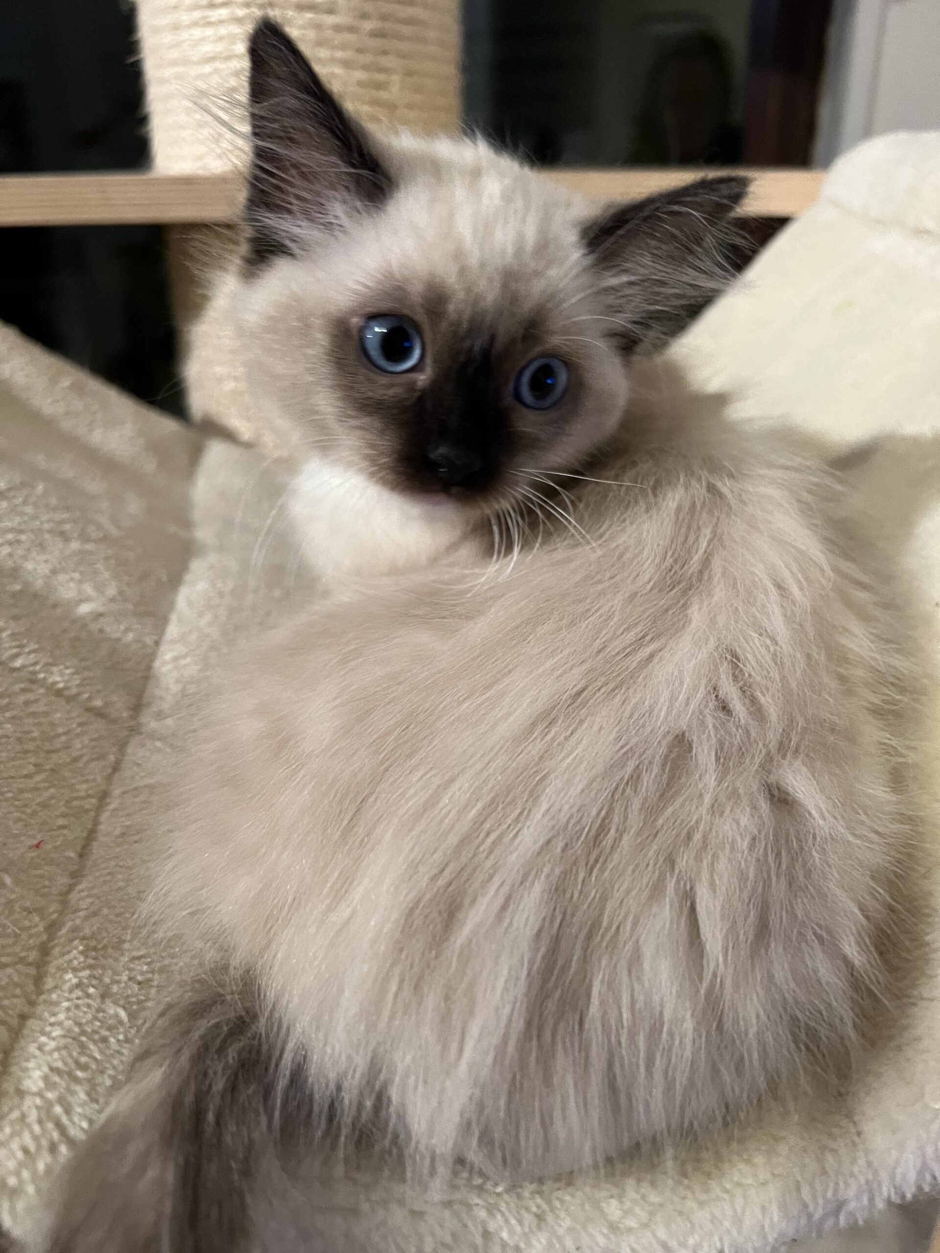 0072E26F-8282-46BE-B78E-2638B8C8C1D4