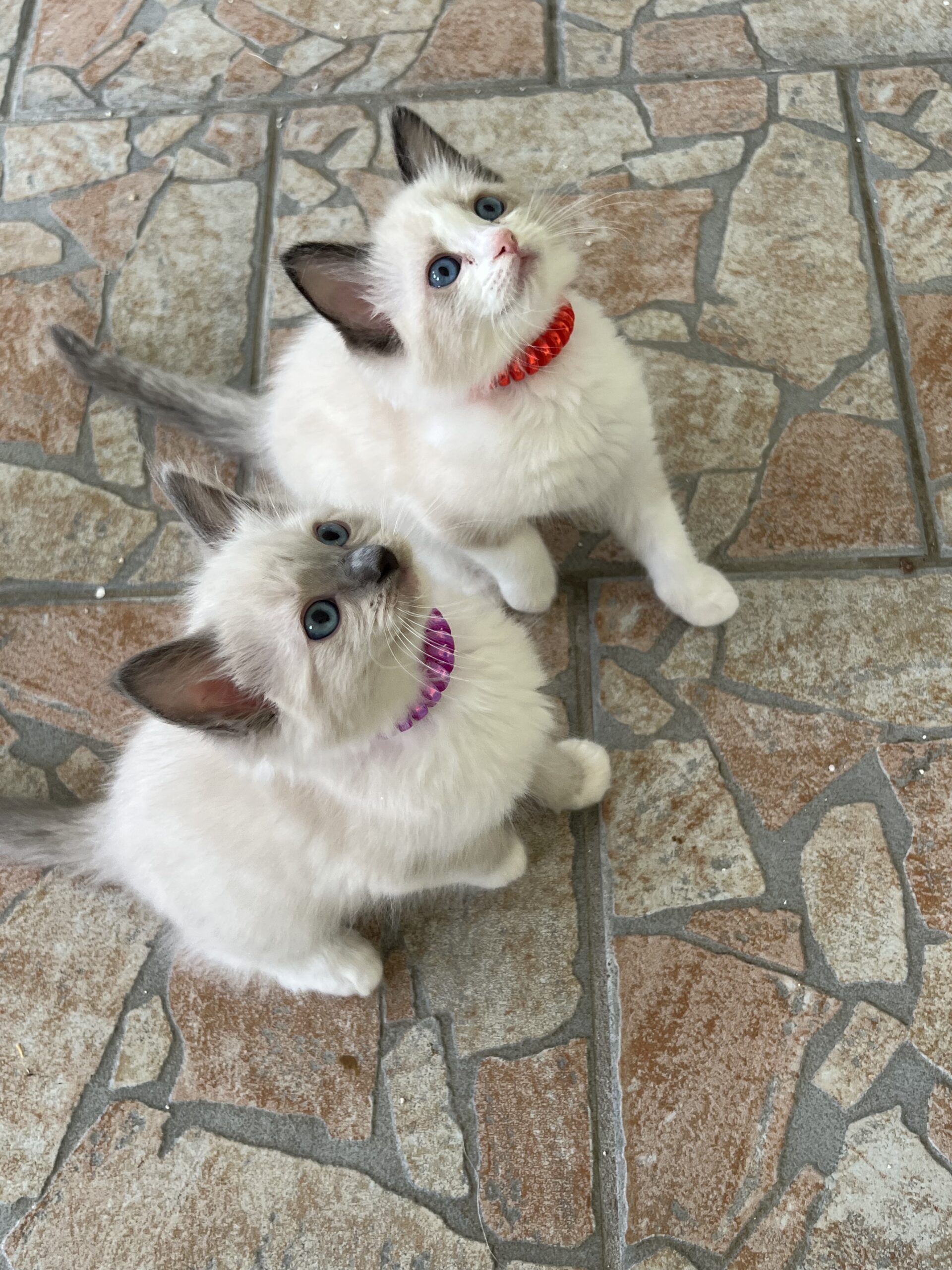 01DA33D8-0276-4803-BC97-9B98434FB7BC