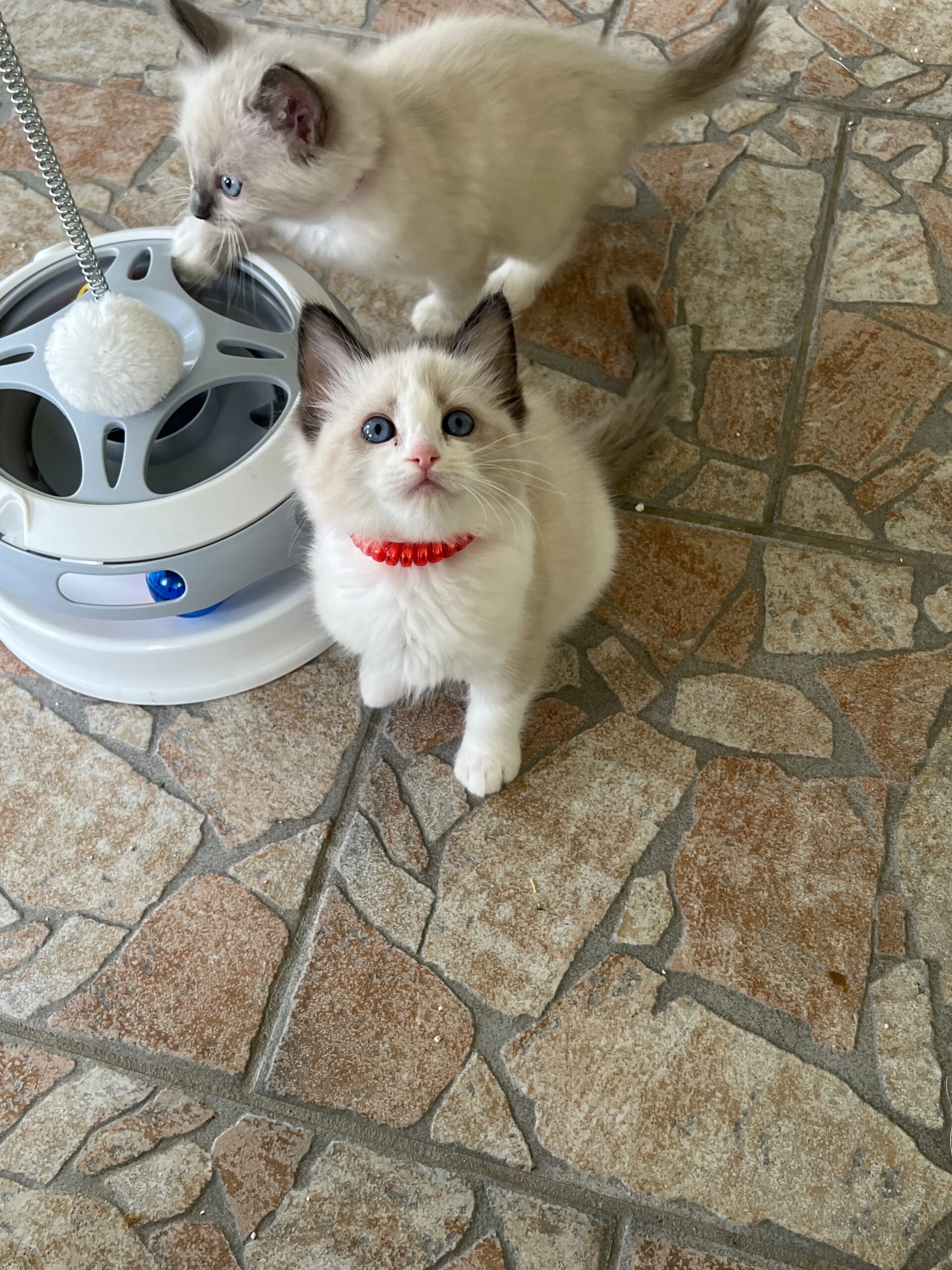 046887F7-00EF-4EEF-BE68-FBD5EE90DCE5