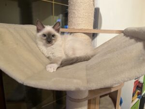 06884E34-6149-4486-9E8B-5F50FFA818D3