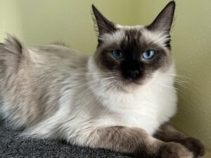 0AF77CBE-297F-462C-8B06-8698EFA70F56