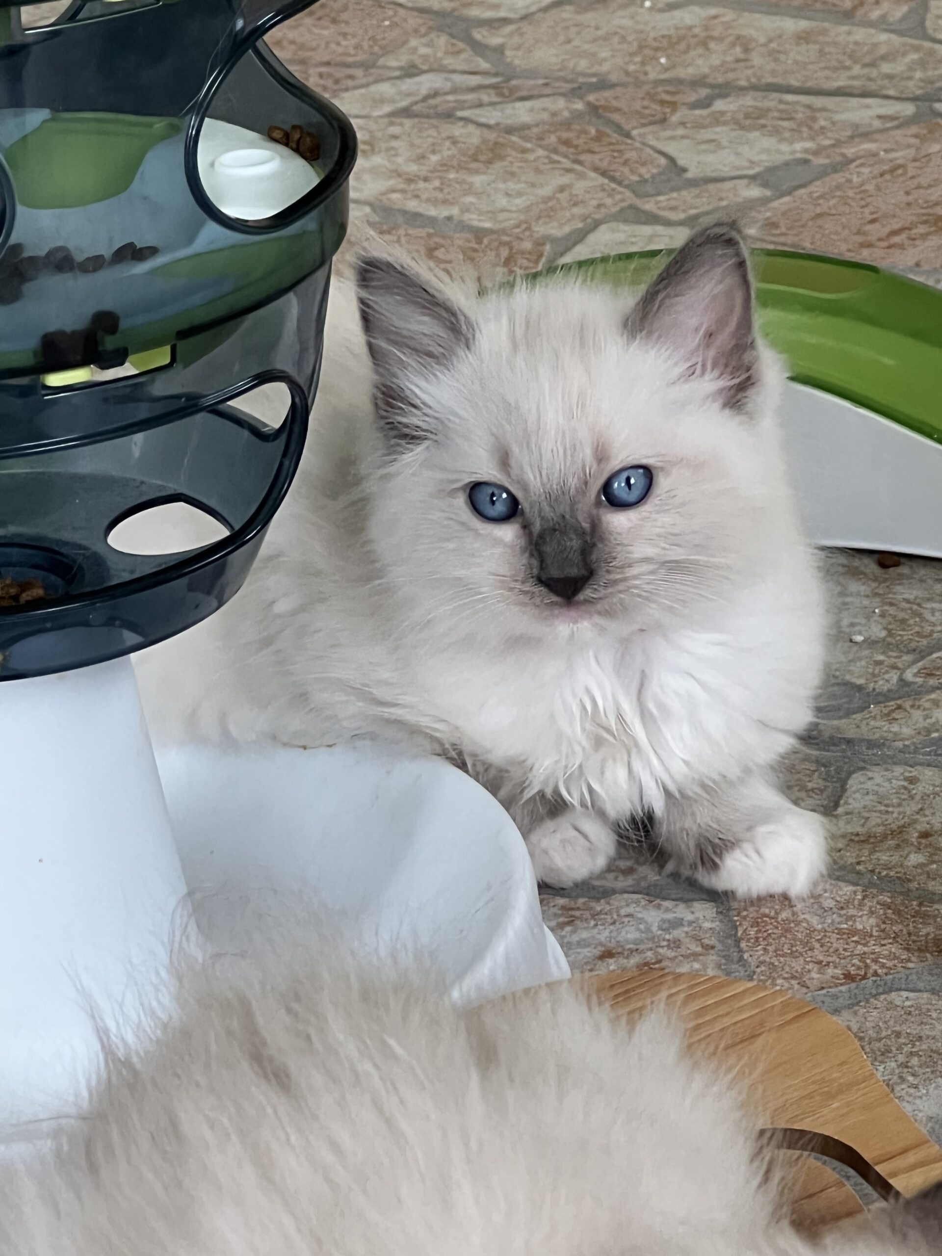 0C7FD1FB-C350-41CE-B3AD-C3C43695E954