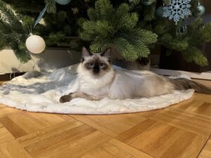 0D961380-E0F1-49B8-85B2-59ACA616D414