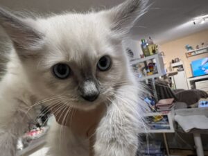 184028D7-262C-495C-BE78-F306C80C52F0