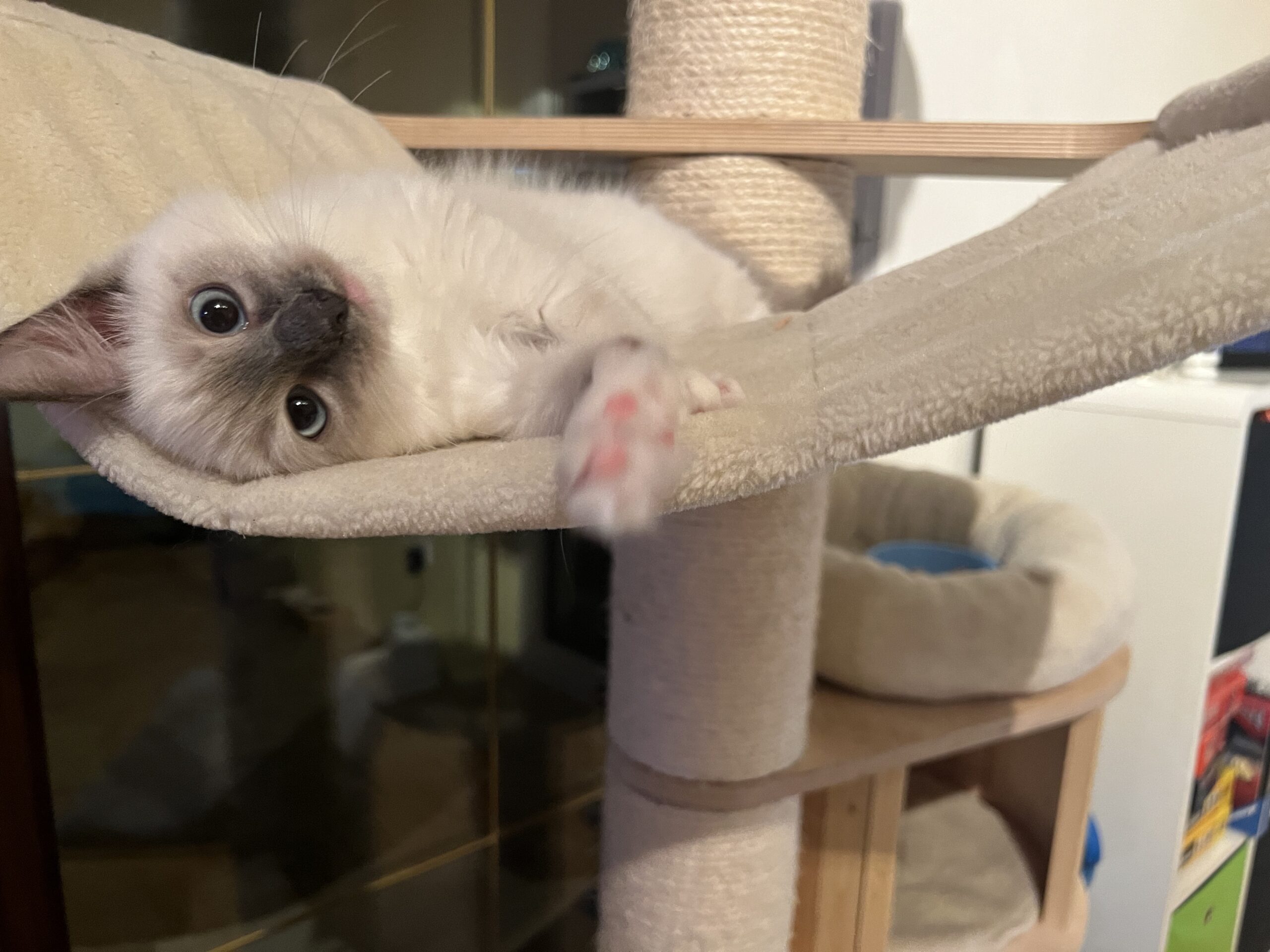 18EF14B5-B37D-405C-8385-E0AC427E3E92