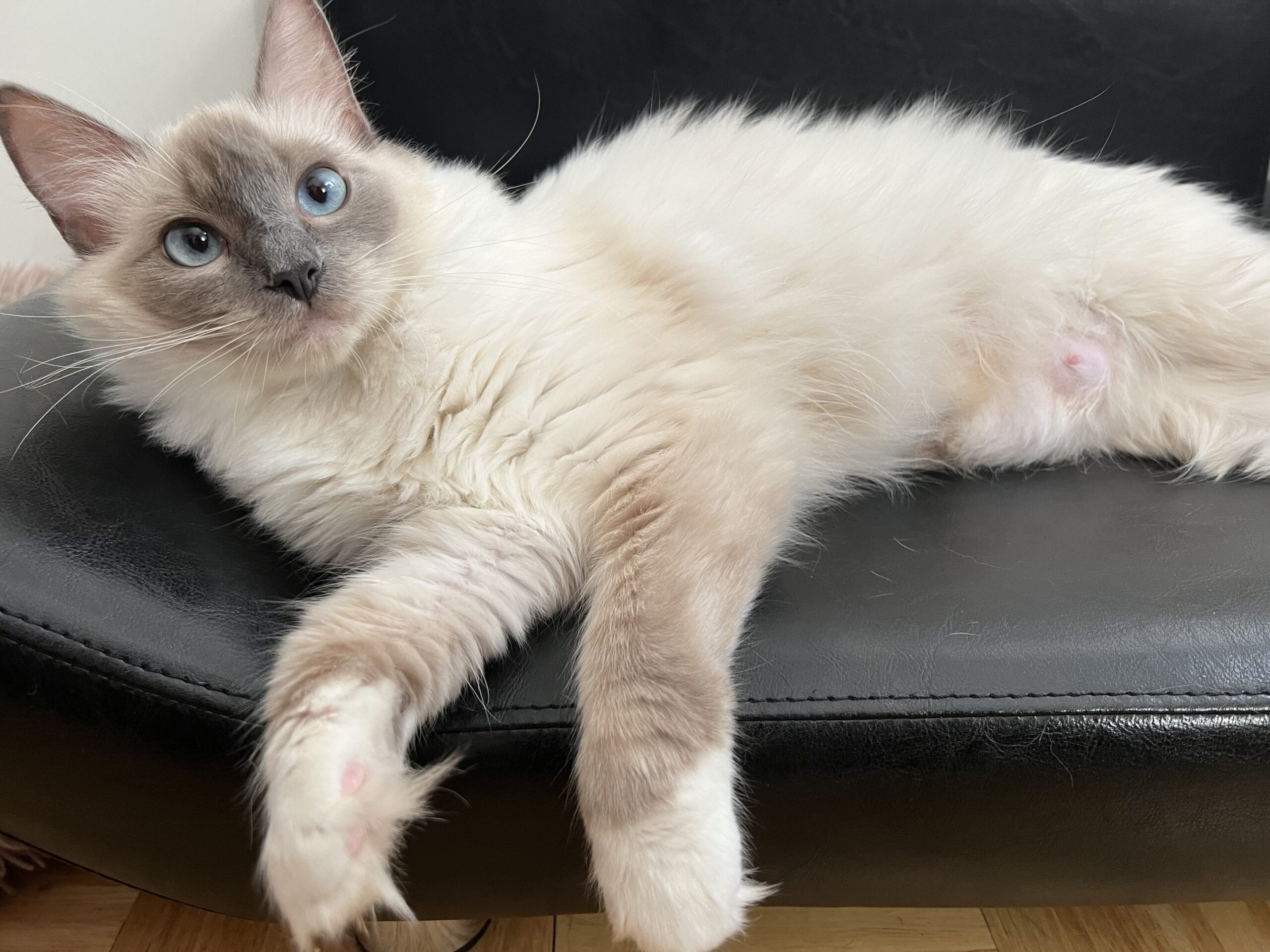 1FC63690-3B27-4A41-B335-A8FB72945452