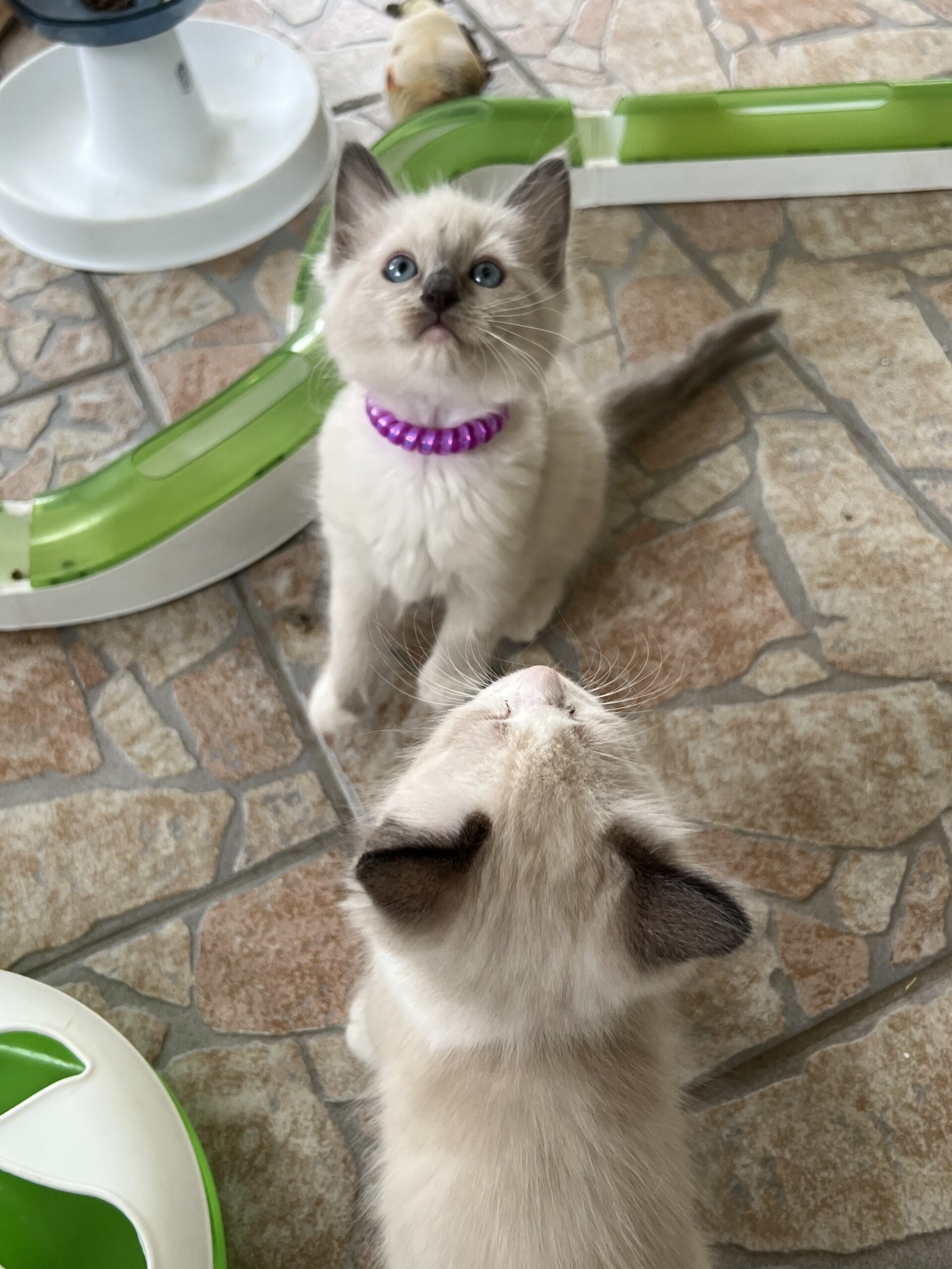 2B2F096B-0180-4B9F-9A40-7320871A0F35