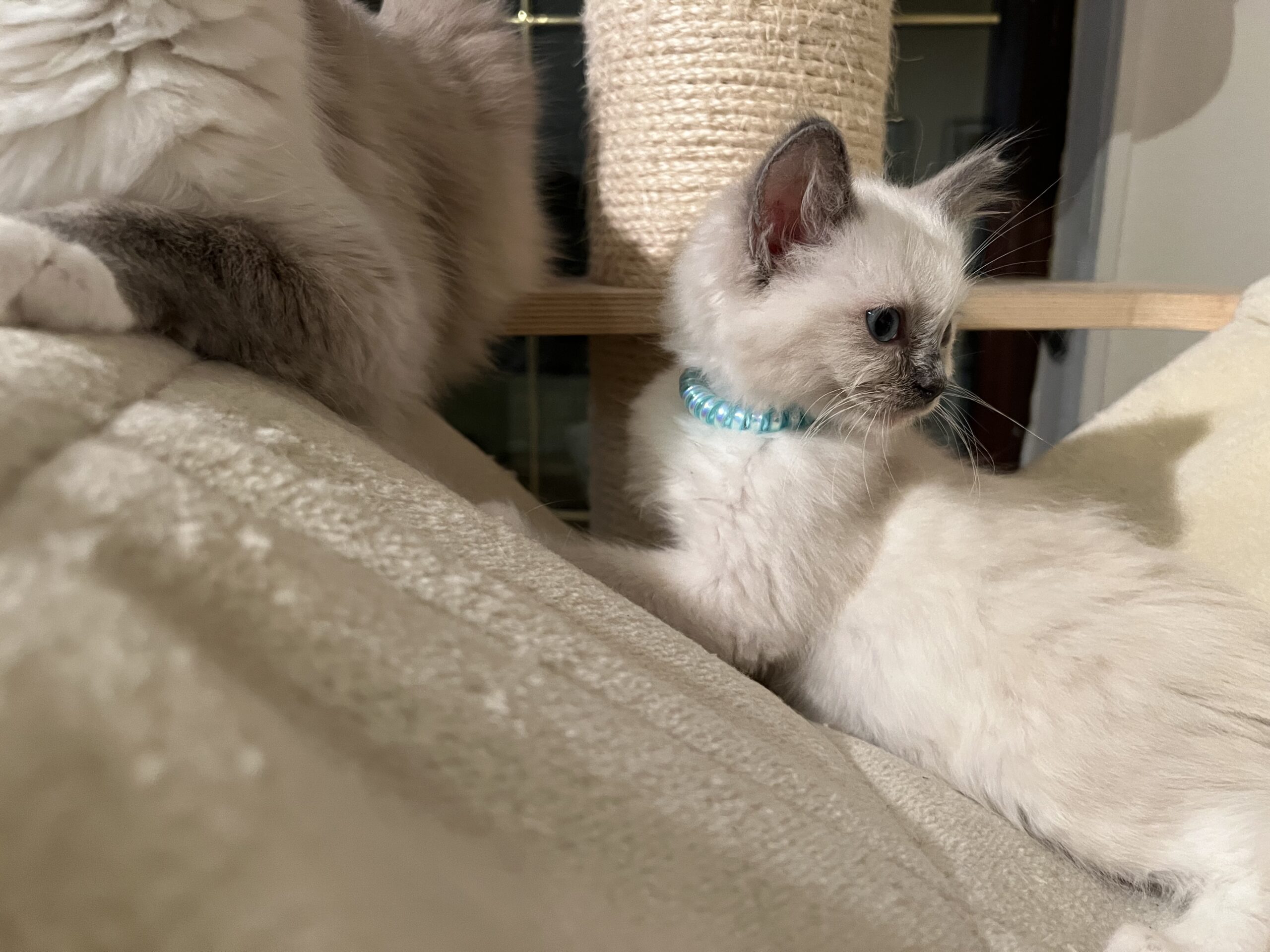 2DFB00E2-49F2-41C5-9694-B3410564E08D