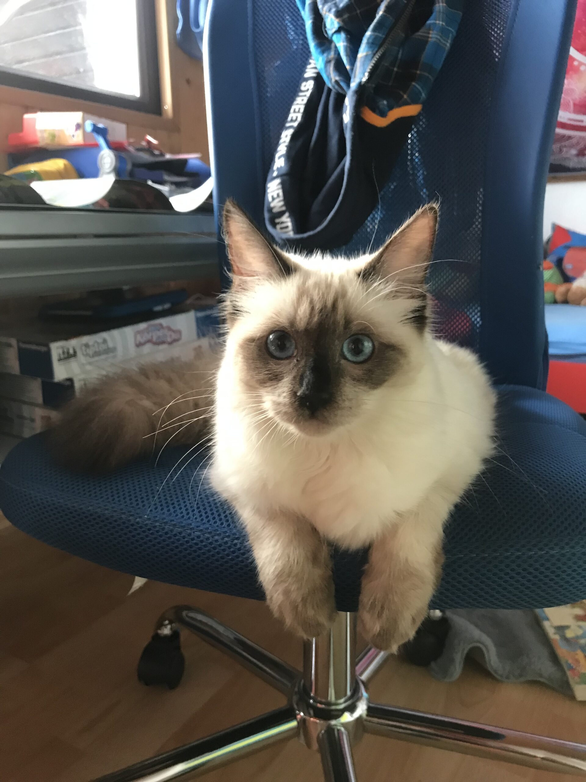 327F7840-AF4E-4EE0-A7B6-64A9FB64767C