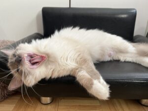 43D64275-30BE-4EBB-85E8-75C0E8DF2C86