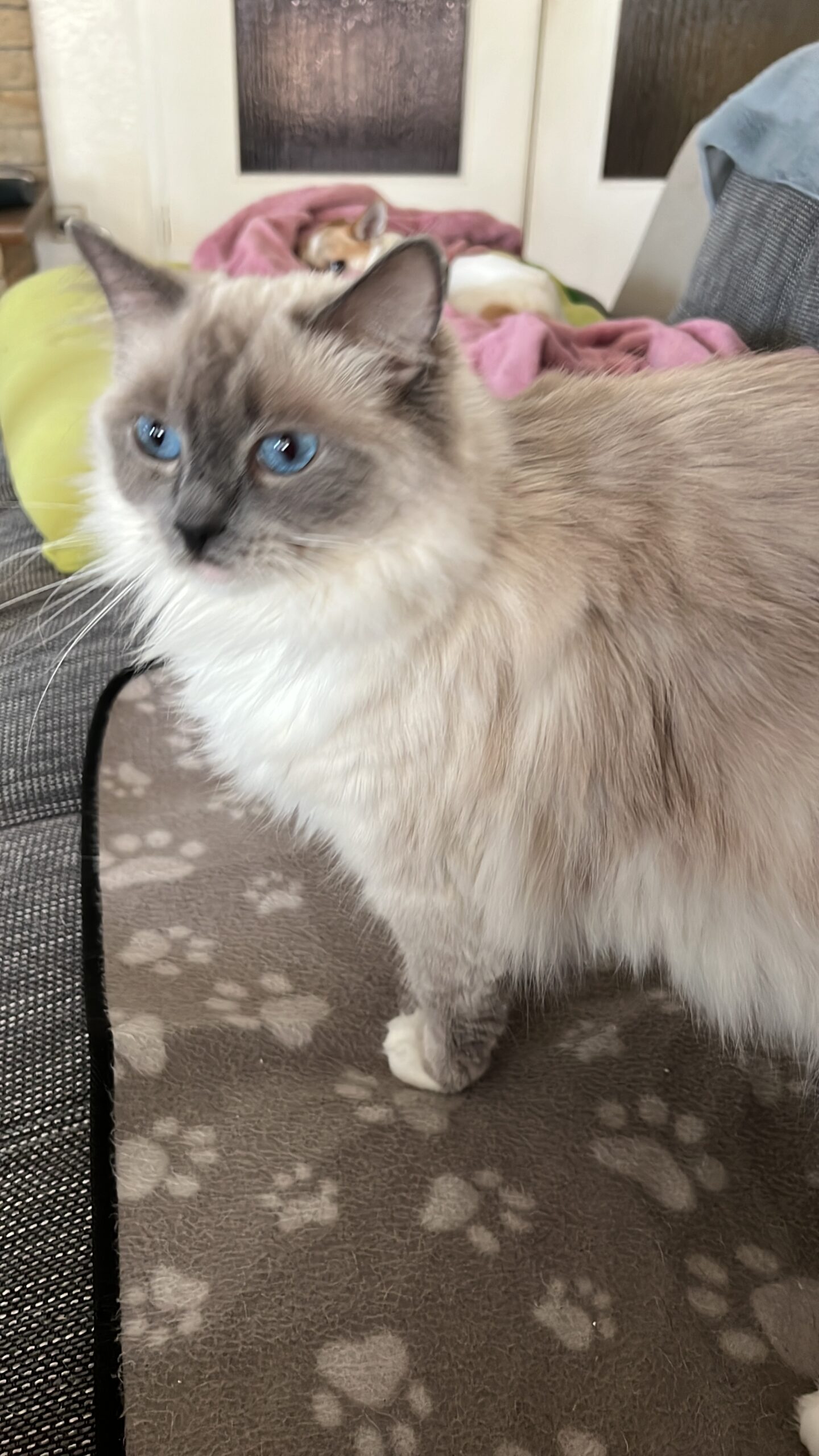 592F7DF5-1001-424C-8353-6A075764C49C