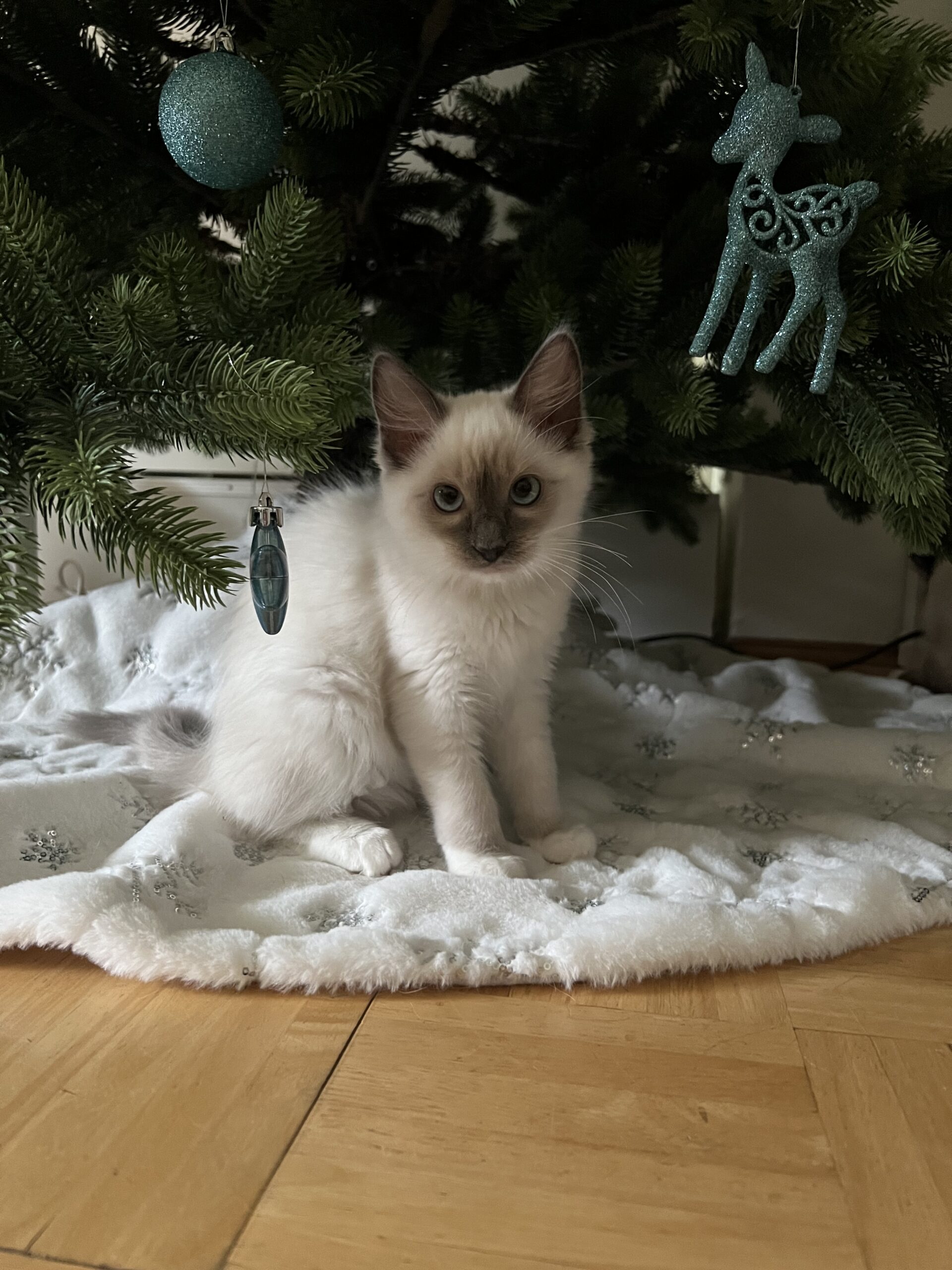 599FD14A-5C48-4F8D-B929-572074B0385B