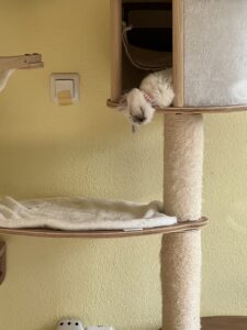 5A5626BD-80D1-4EF3-BDBE-466775CEBF4E