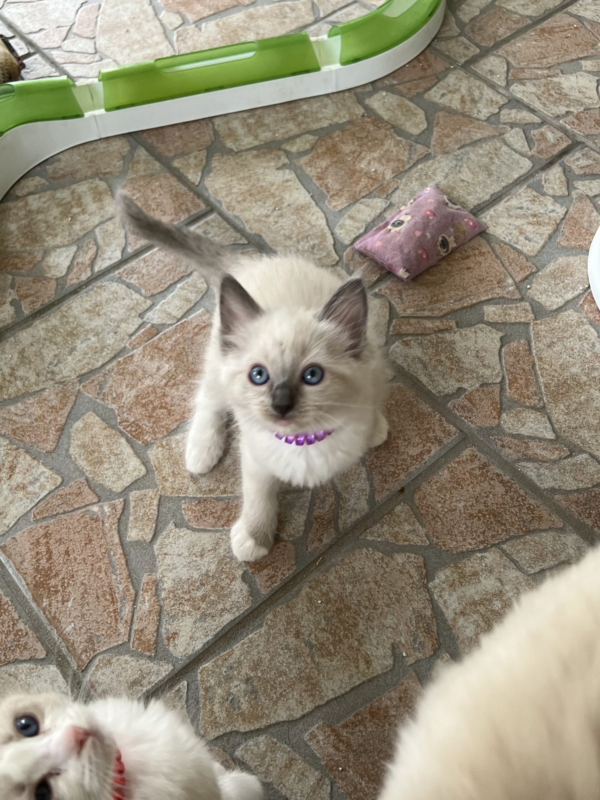 5BBD1974-EDBD-4302-A856-856C42D2F542