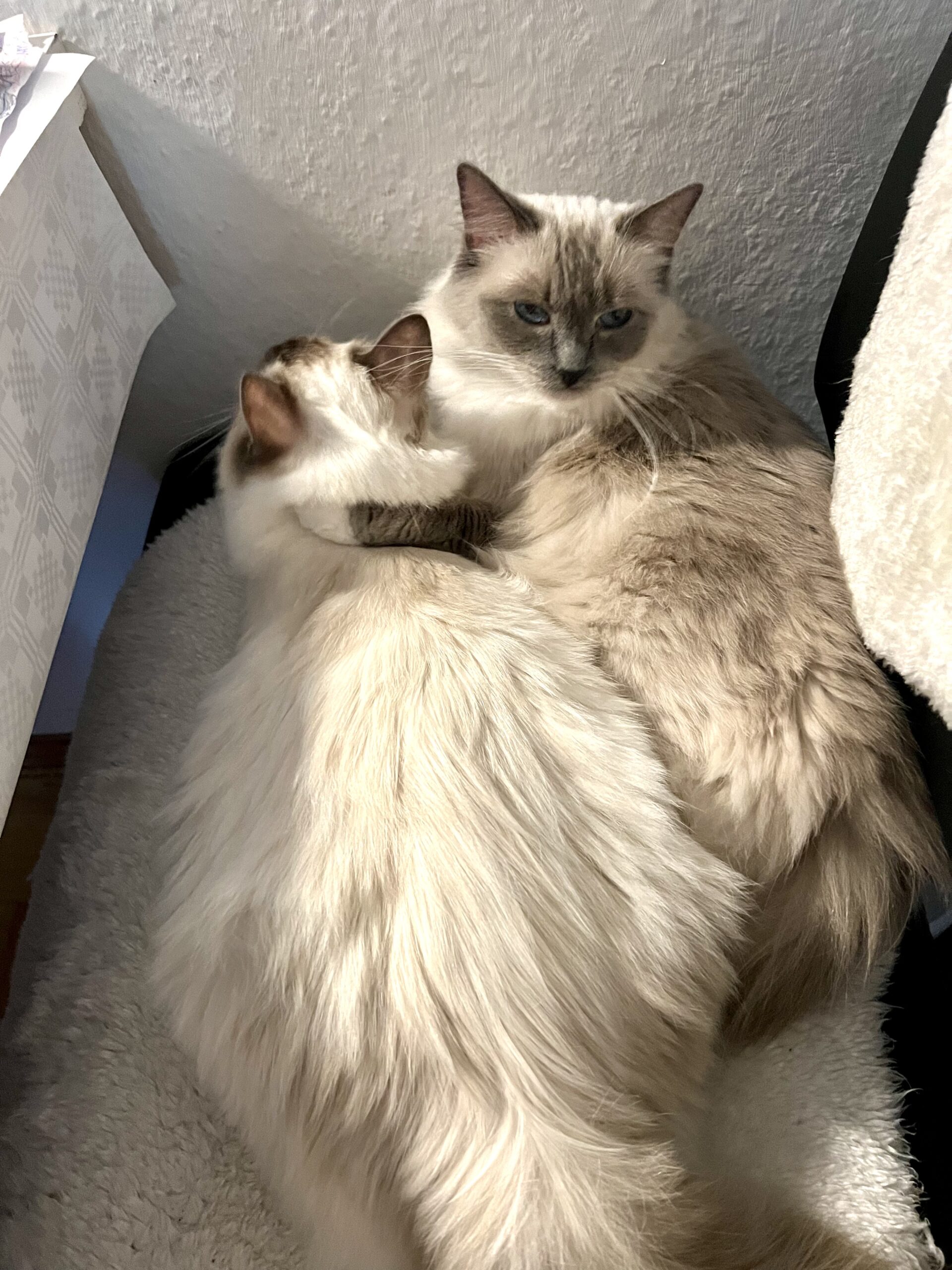 5C247925-044E-4E88-ADBE-6D21BBBCD29B