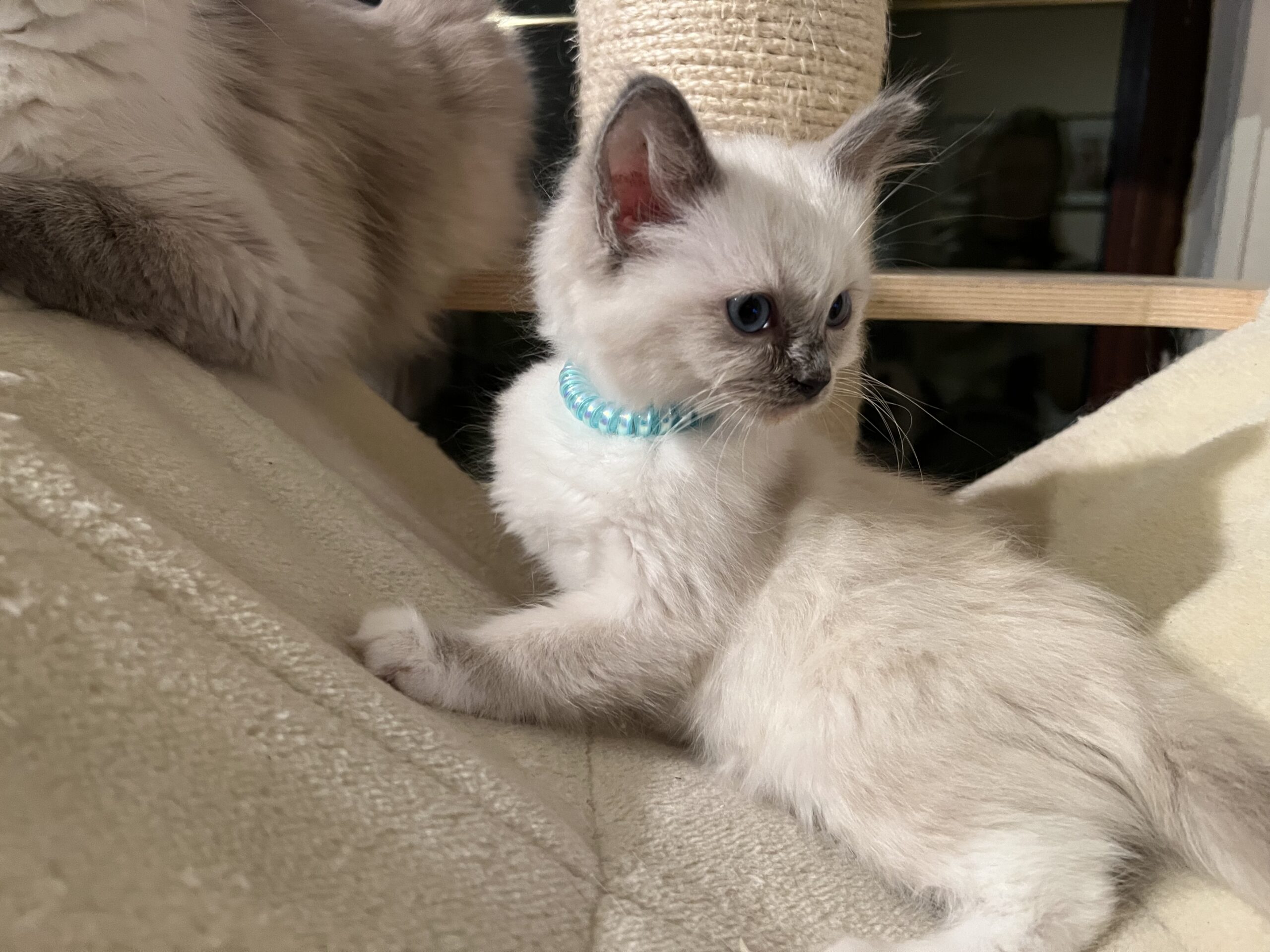 61AA5A8B-23B1-4FFF-AB57-4D68876C010E