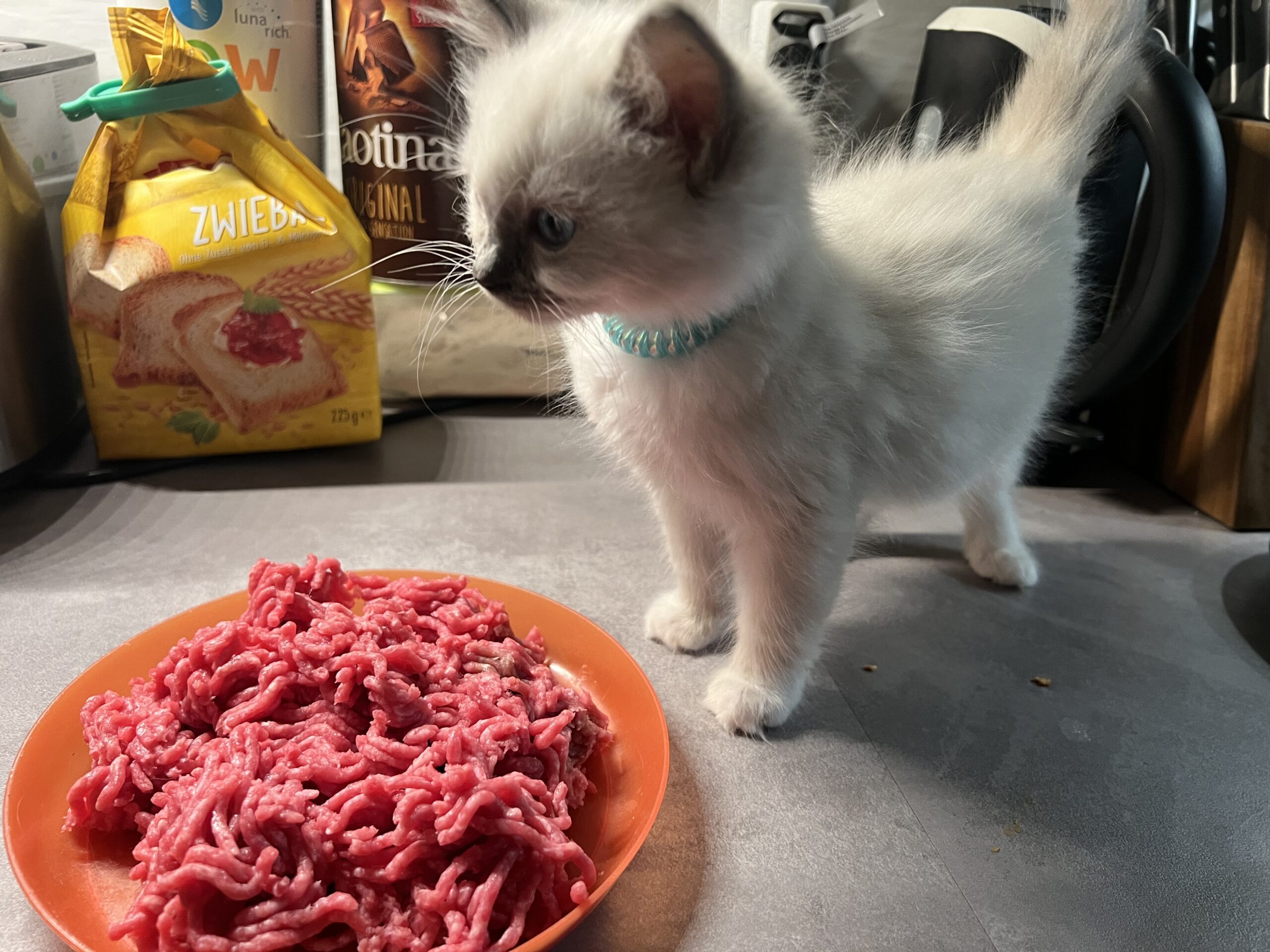 6B026F7E-69BB-45D0-8AAD-835729C94733