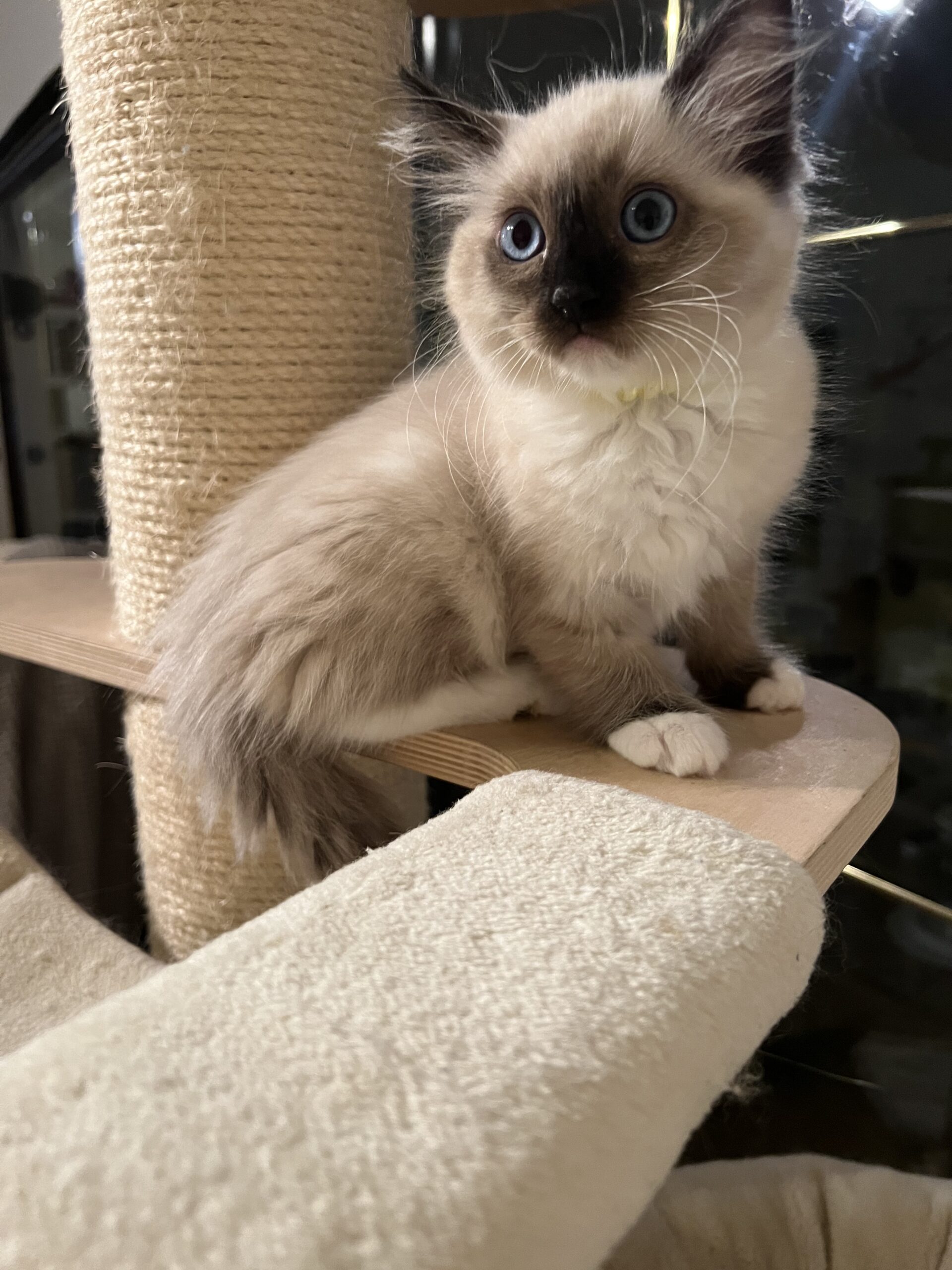 969DDAC9-192B-4BF4-A78A-EE2EFD469102