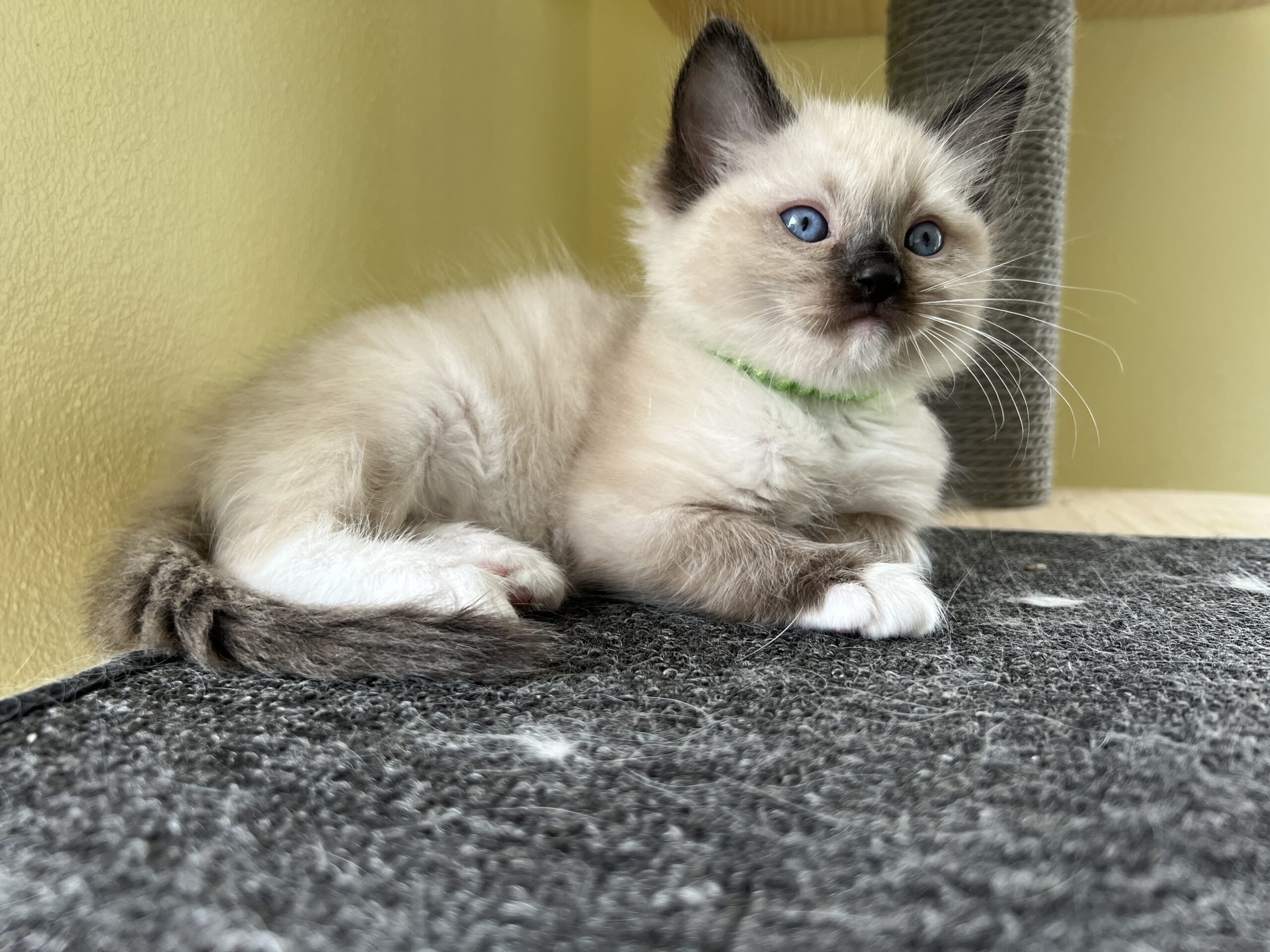 97E9F2F9-BC37-487A-BD34-EFB056FB8D80