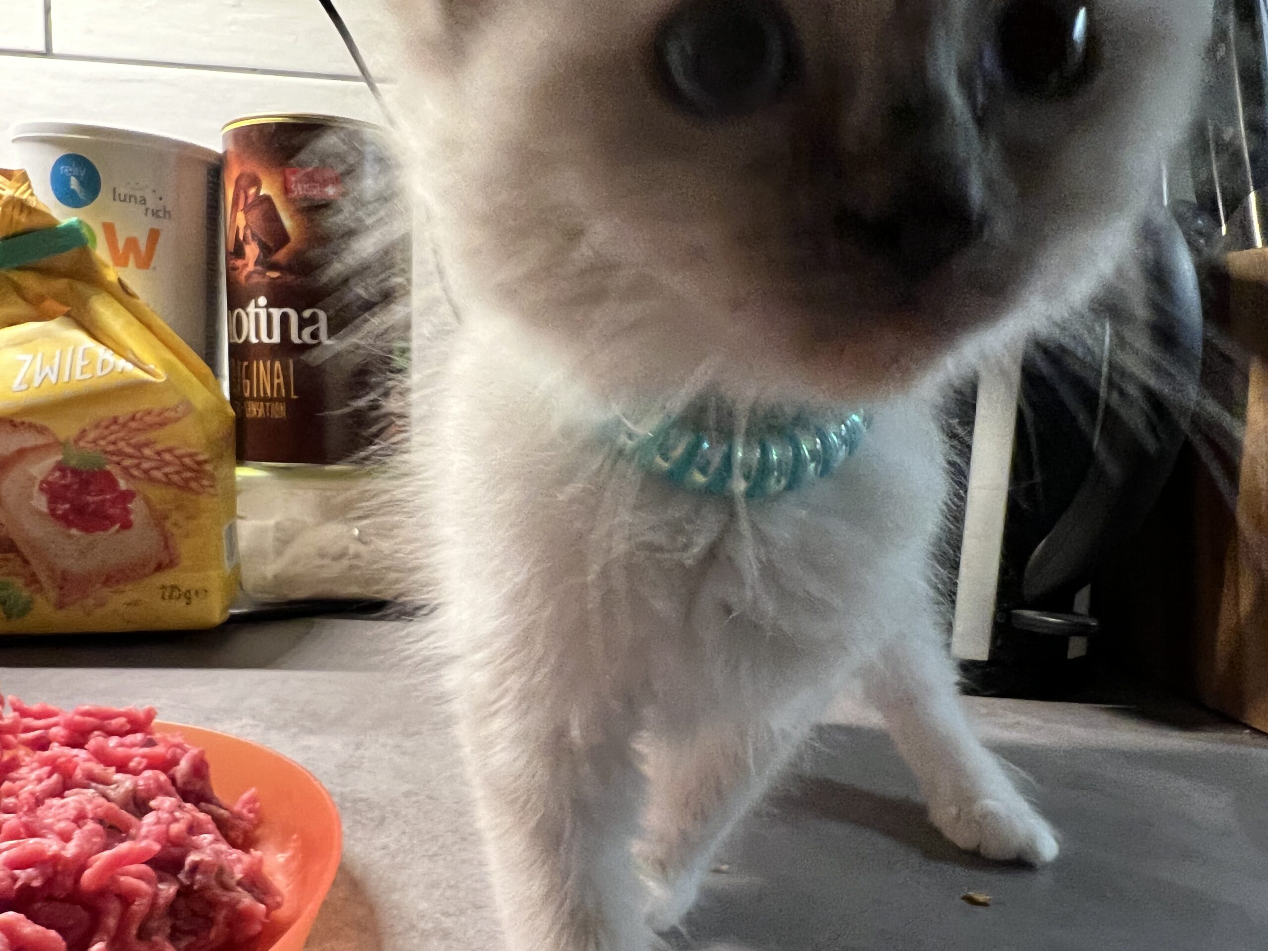 A2604F70-B18F-425A-BE12-7D8735326C73