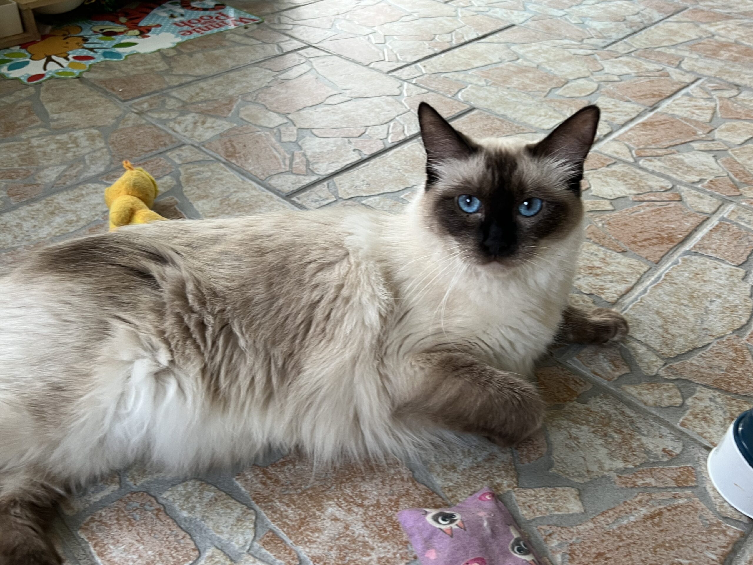 AA3E8101-B276-4F0A-9A50-0E4E52A6618E