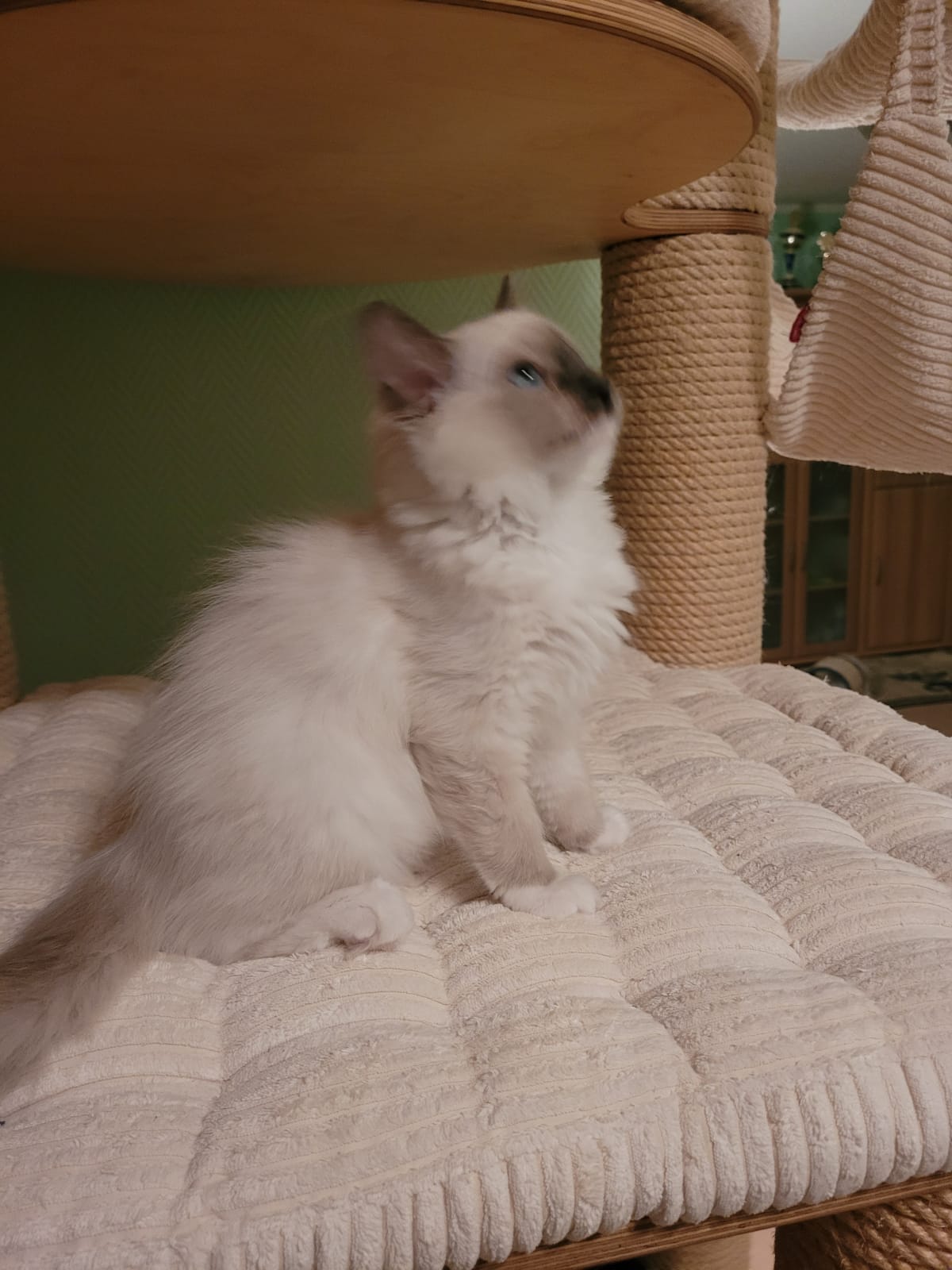 AAB30F84-DD6C-45F7-89B4-8B05E93A6010