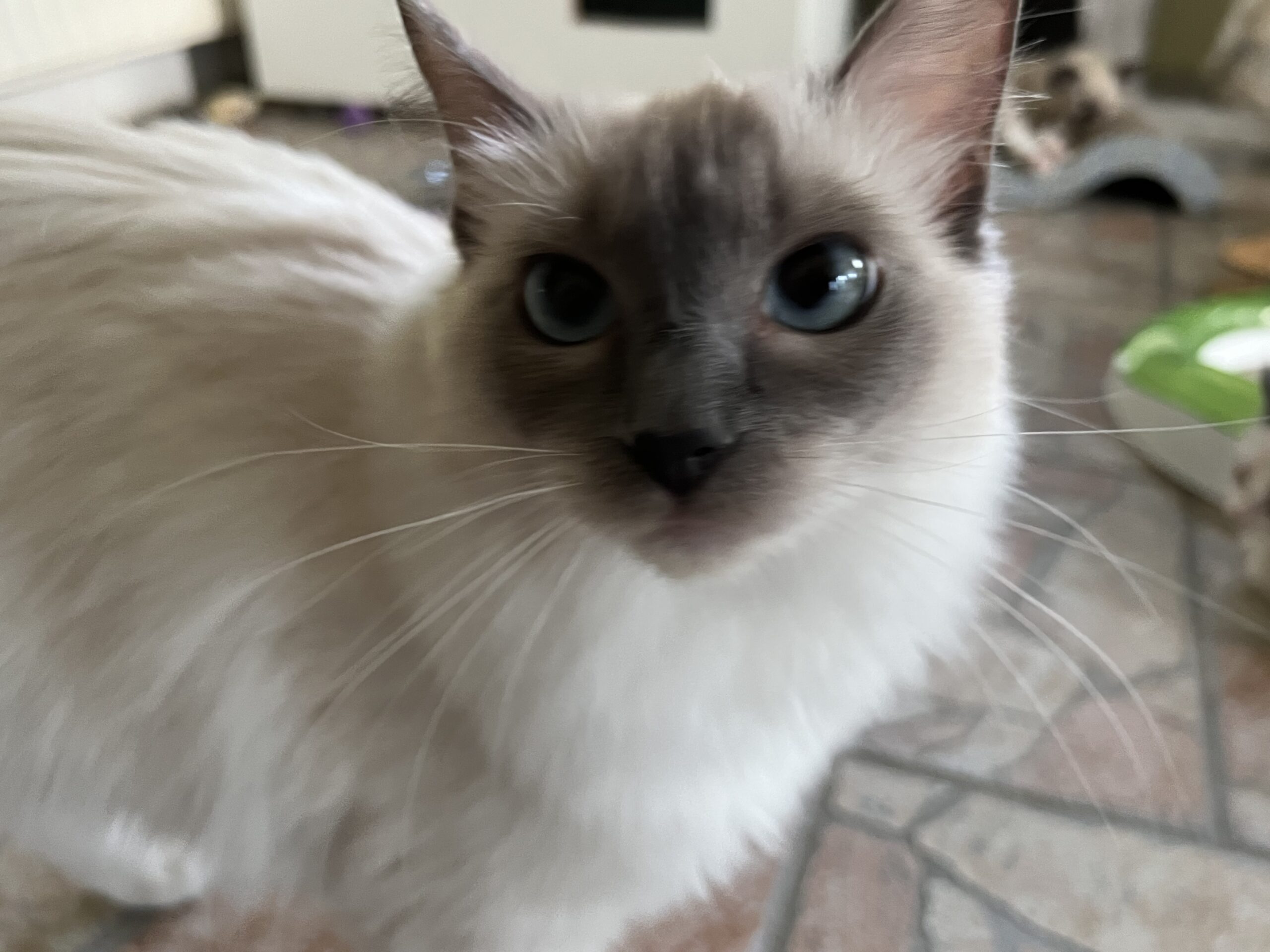 B1DD9DB0-48D2-4D1B-8AD9-1CF530CAAA7B