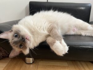 B78FEE2D-38BB-493B-BD8A-A928802BC0C7