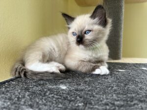 BAE4B2ED-99D5-4AA9-9011-13786F59D4A8