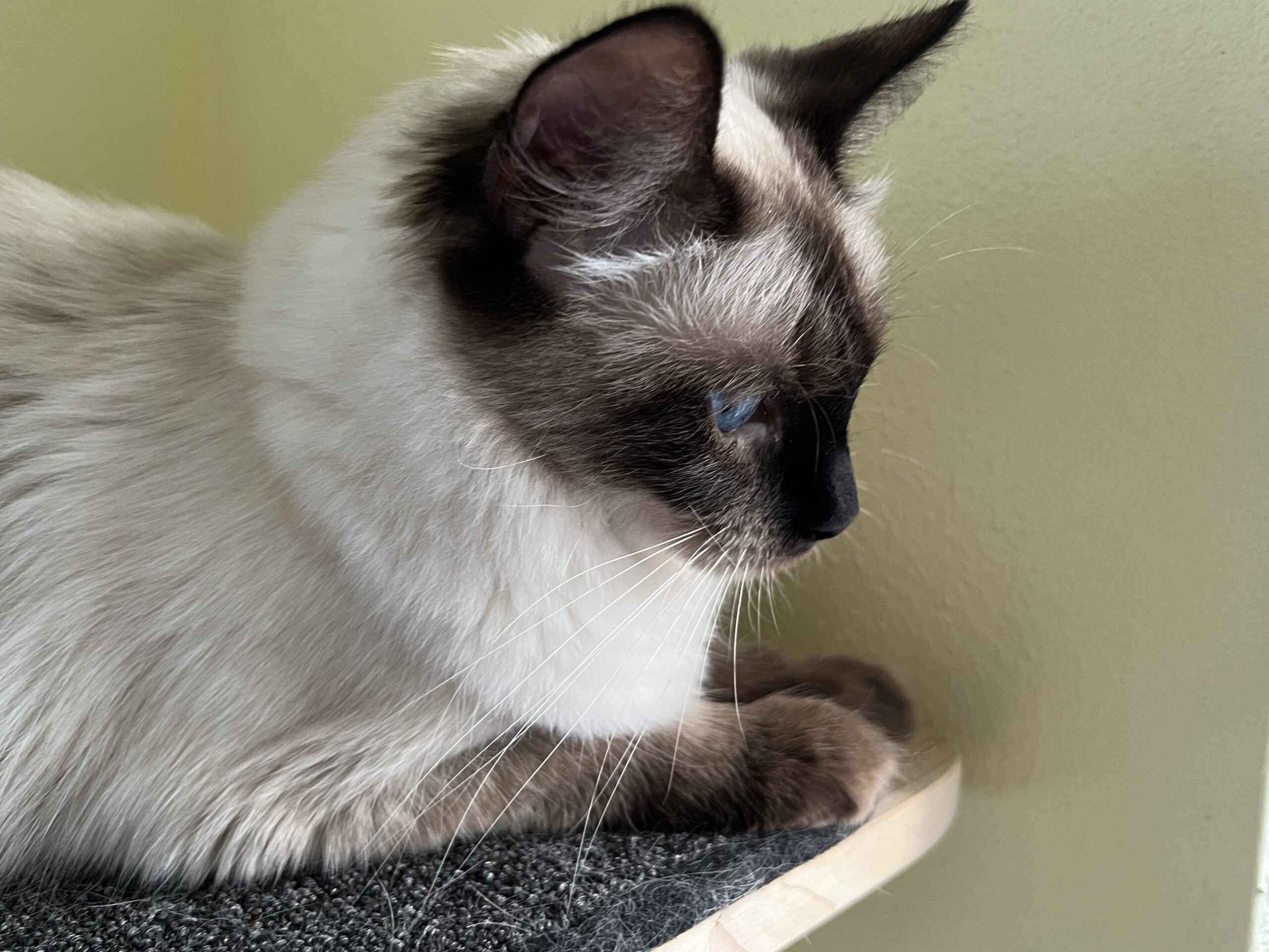 D2175CA3-3E9A-44B9-9FF5-3B8D604E37D3