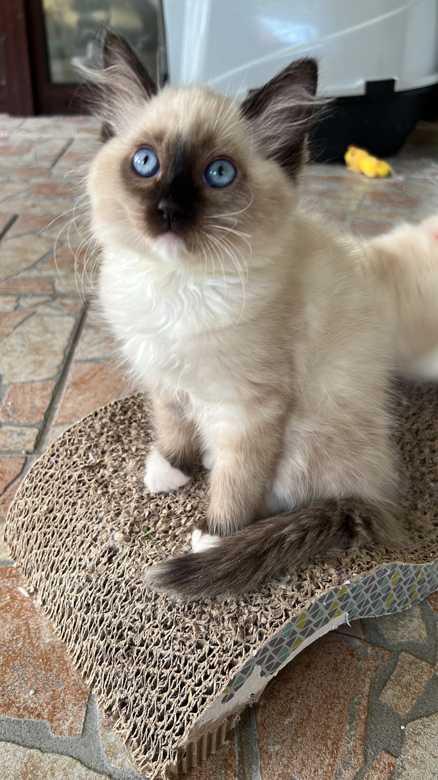 D4CB851E-74C8-4737-8EC2-FB69EF6CD25F