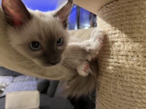 DE0A22C3-0E6A-4196-9239-2CC82D501C5B