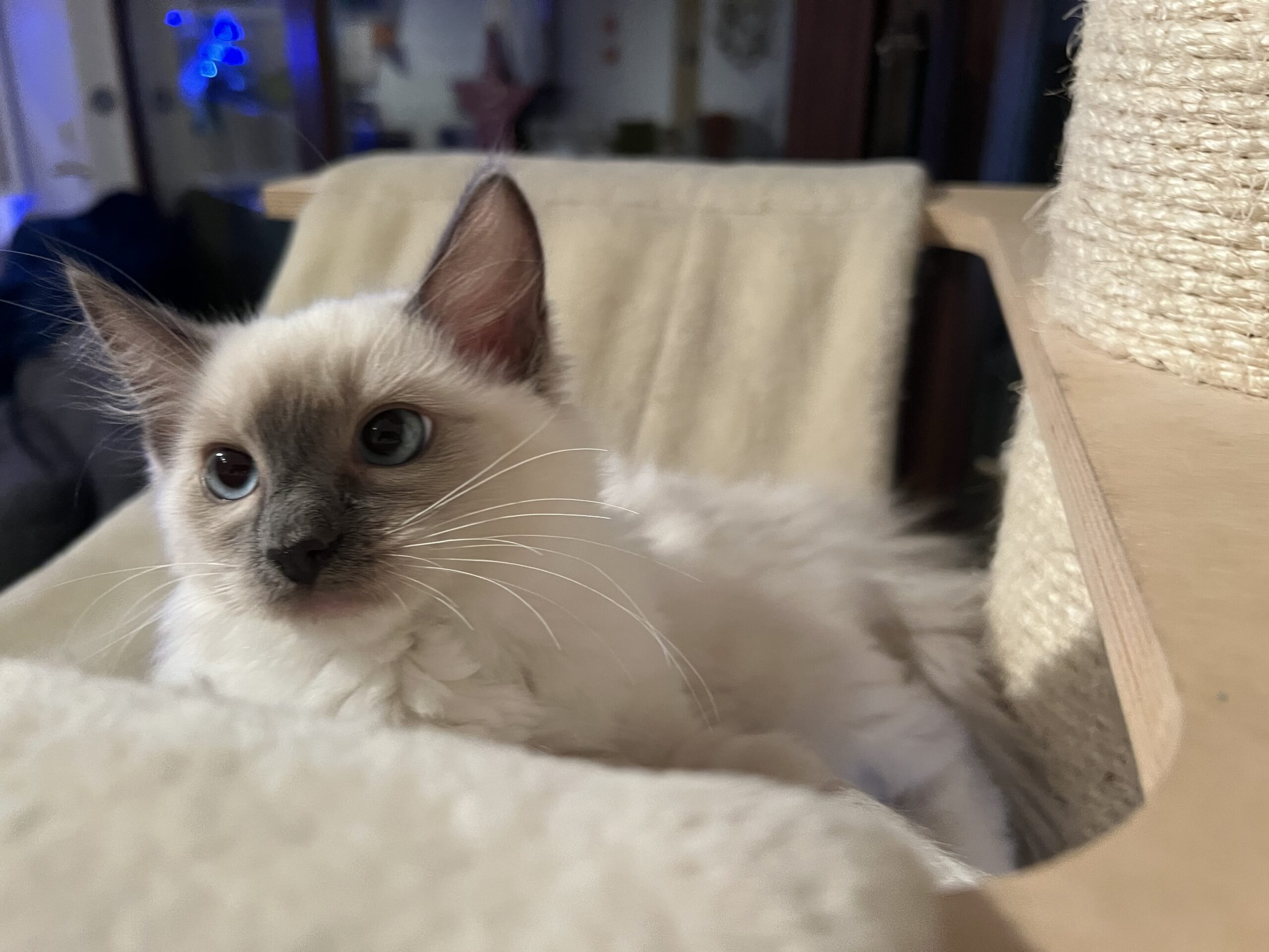 E69CCA02-7CB9-4850-B217-37B2E6E9A2C7