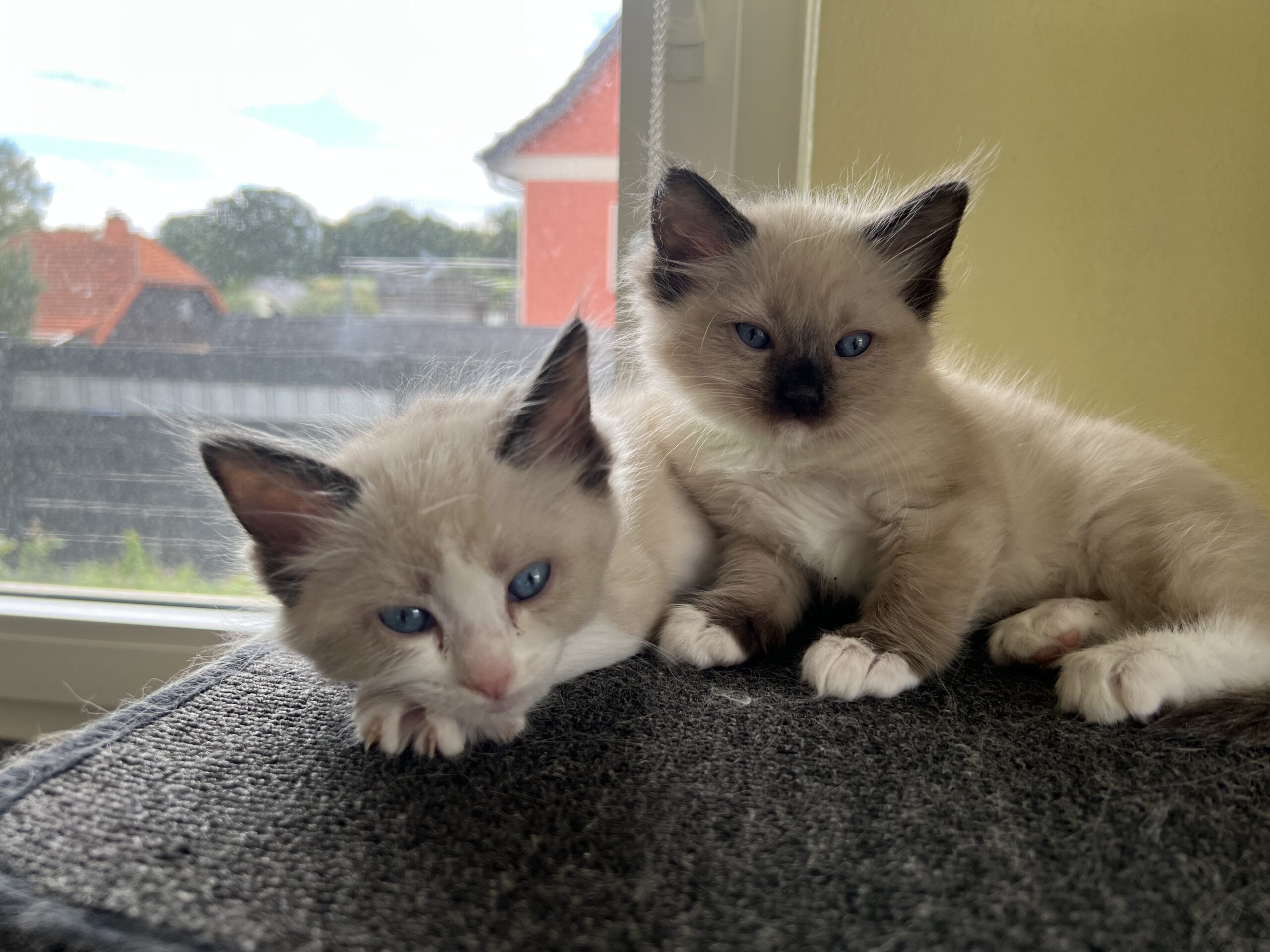 E974885C-940C-4F5B-8FB0-36BCCC8C98F4