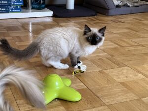 2287513E-A9A3-40FA-AD60-8D23FC82325F