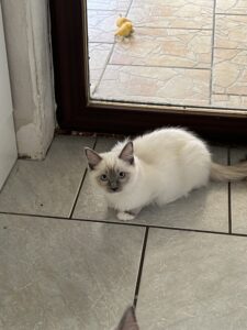 446B0052-74E5-4463-A86A-F85EBB9D2BB4