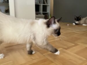 4C0892F9-37A0-4542-84AF-5A9D78E4C254