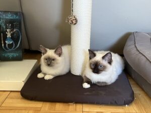 4FD39D0E-60B8-4700-845B-64AB57F8BFAE