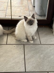 848FCA8C-89CF-4D86-8D41-A1AFADD8A10A