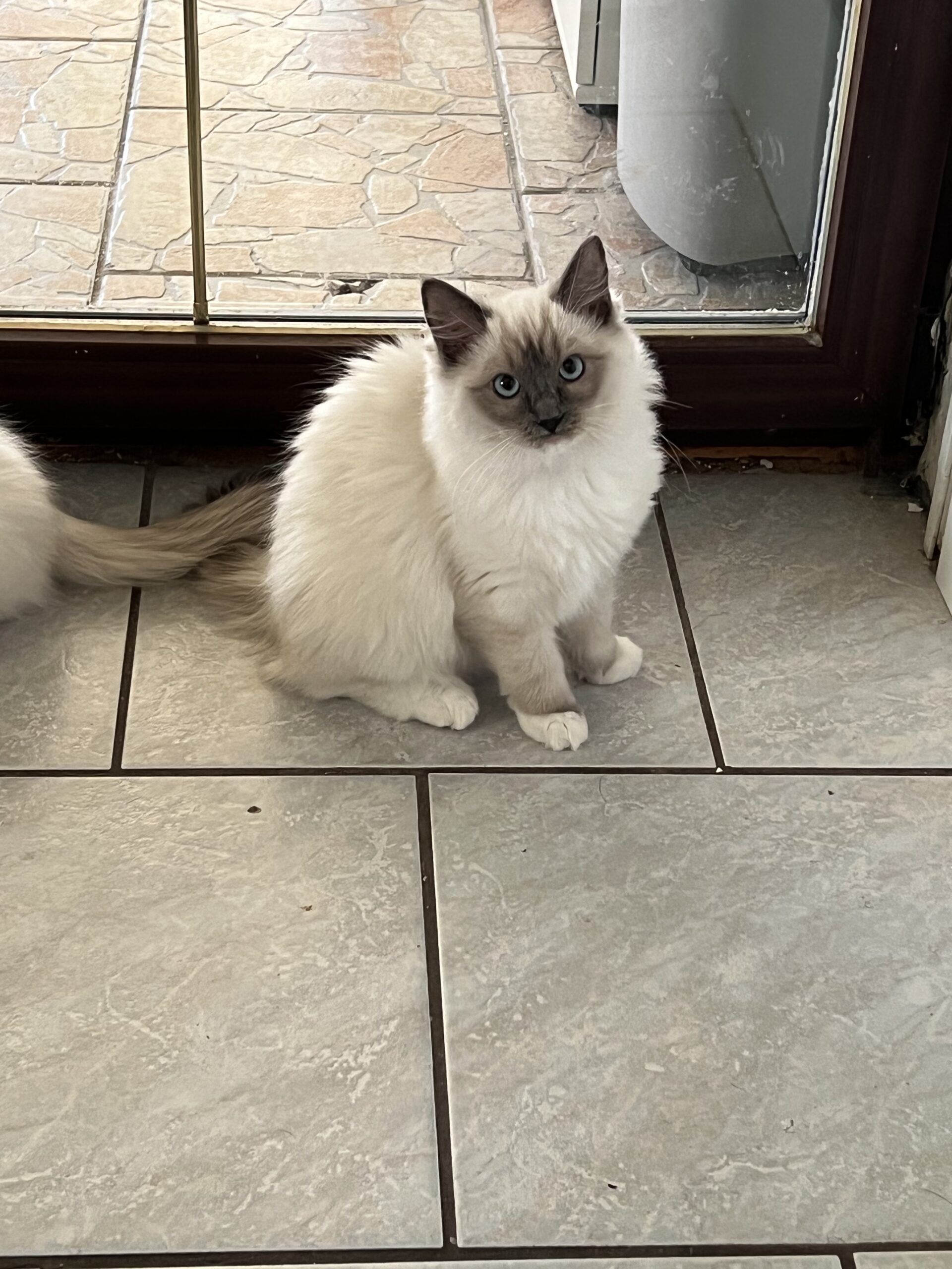 848FCA8C-89CF-4D86-8D41-A1AFADD8A10A